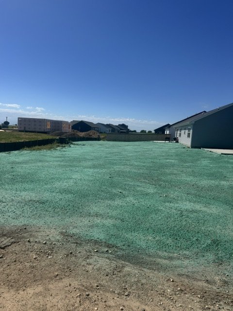 A large new-construction backyard covered in an even coat of fresh hydromulch, with new homes in the background