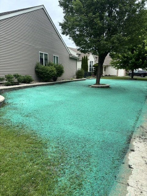 Fresh green hydromulch on a residential side yard on application day