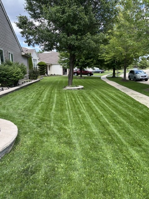 The same side yard fully grown in with a thick, striped lawn