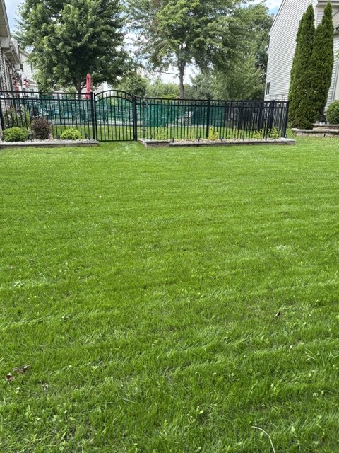 The same fenced backyard grown into a thick green lawn