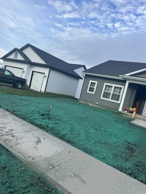 Fresh green hydromulch on new-construction front yards