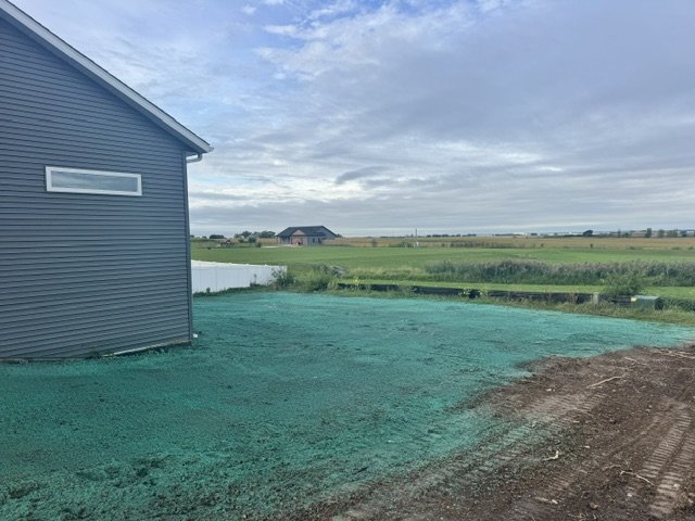 Fresh green hydromulch on a new-build backyard facing open land